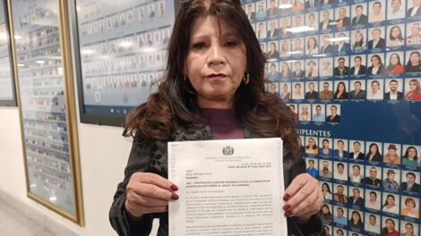 Informe sobre contratos con Pan American Energy solicitado por diputada María Elena Reque