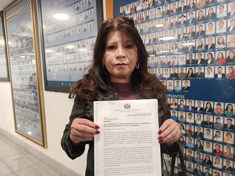 Informe sobre contratos con Pan American Energy solicitado por diputada María Elena Reque