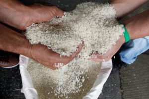 Arroz contaminado en Bolivia