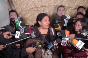 Contratos de litio en debate por la senadora Daly Santa María