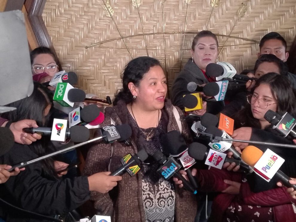 Contratos de litio en debate por la senadora Daly Santa María