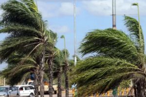 Alerta Naranja Santa Cruz por vientos de hasta 90 km/h