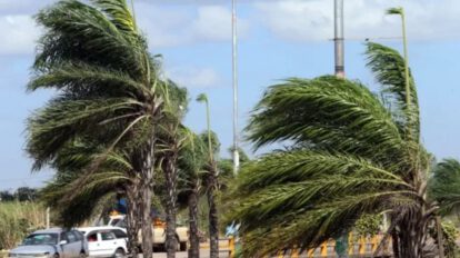 Alerta Naranja Santa Cruz por vientos de hasta 90 km/h