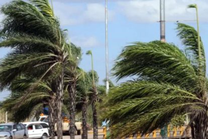 Alerta Naranja Santa Cruz por vientos de hasta 90 km/h