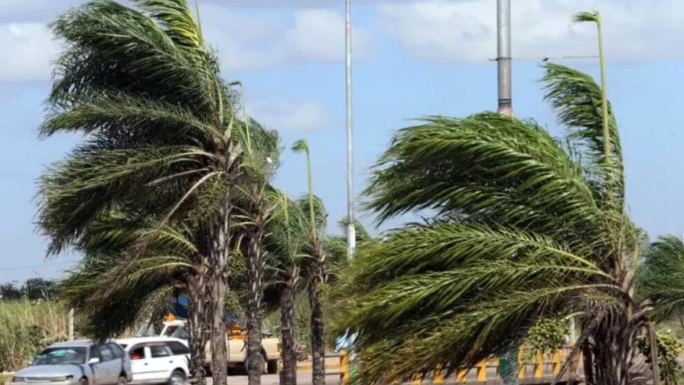 Alerta Naranja Santa Cruz por vientos de hasta 90 km/h