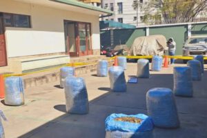 Incautación de marihuana en Quillacollo