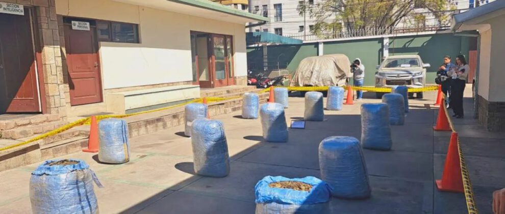 Incautación de marihuana en Quillacollo