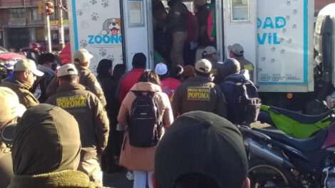 Rescate de mascotas en El Alto durante operativo en la Feria 16 de Julio