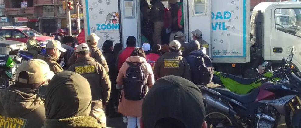 Rescate de mascotas en El Alto durante operativo en la Feria 16 de Julio