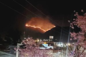 Incendio forestal en Tarija
