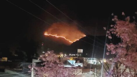 Incendio forestal en Tarija