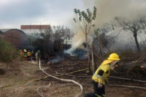 Incendio en aserradero Santa Cruz