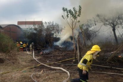 Incendio en aserradero Santa Cruz