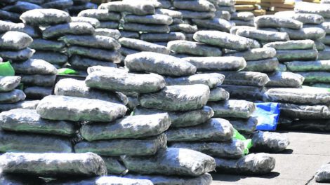 Incautación de marihuana en Bermejo