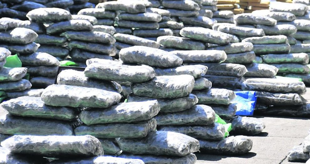 Incautación de marihuana en Bermejo