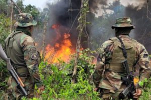 Operativo antidroga Chapare desarticula fábricas de estupefacientes