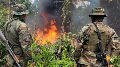 Operativo antidroga Chapare desarticula fábricas de estupefacientes