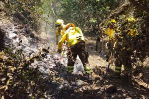 Luis Arce expresa su solidaridad con Chile tras tragedia minera
