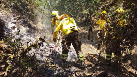 Luis Arce expresa su solidaridad con Chile tras tragedia minera