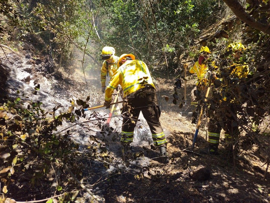 Luis Arce expresa su solidaridad con Chile tras tragedia minera