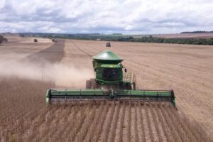 PIB boliviano y sectores clave de la economía