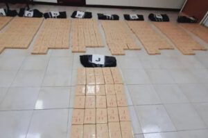 Operativo contra el narcotráfico incauta 457 kilos de cocaína en Beni