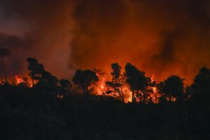 incendio forestal en Francia