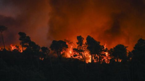 incendio forestal en Francia