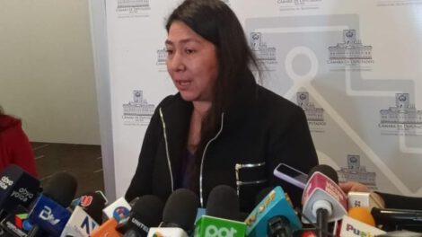 Elecciones en Bolivia con Rosario García del MAS