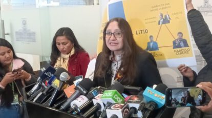 Consorcio transnacional litio Bolivia