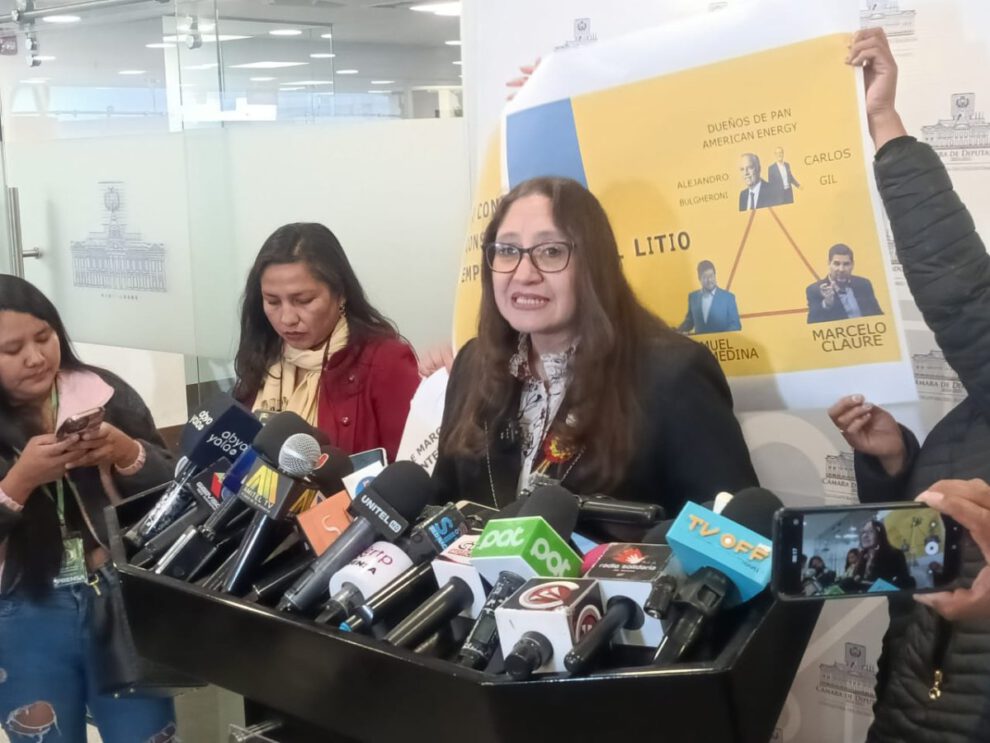 Consorcio transnacional litio Bolivia