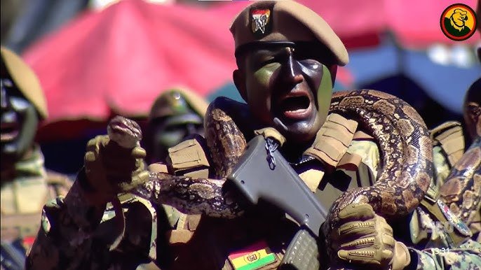 Defensoría del Pueblo recuerda que FFAA deben proteger la fauna silvestre