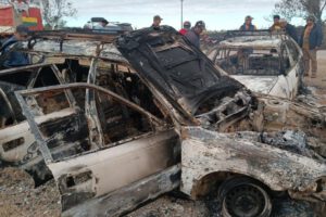 Robo y faena ilegal de ganado en Santa Cruz