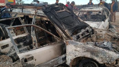Robo y faena ilegal de ganado en Santa Cruz