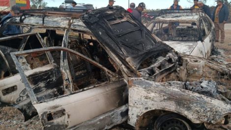 Robo y faena ilegal de ganado en Santa Cruz