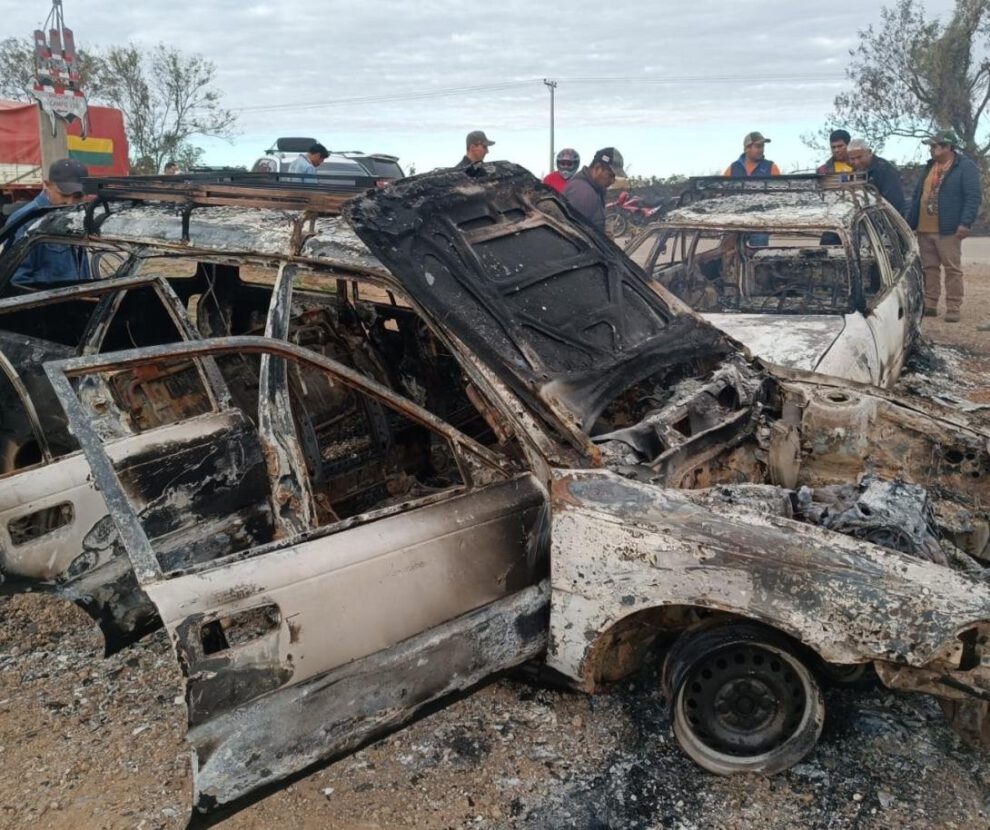 Robo y faena ilegal de ganado en Santa Cruz