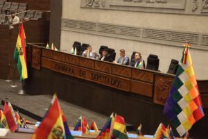 Contrato de litio en la Cámara de Diputados