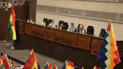 Contrato de litio en la Cámara de Diputados