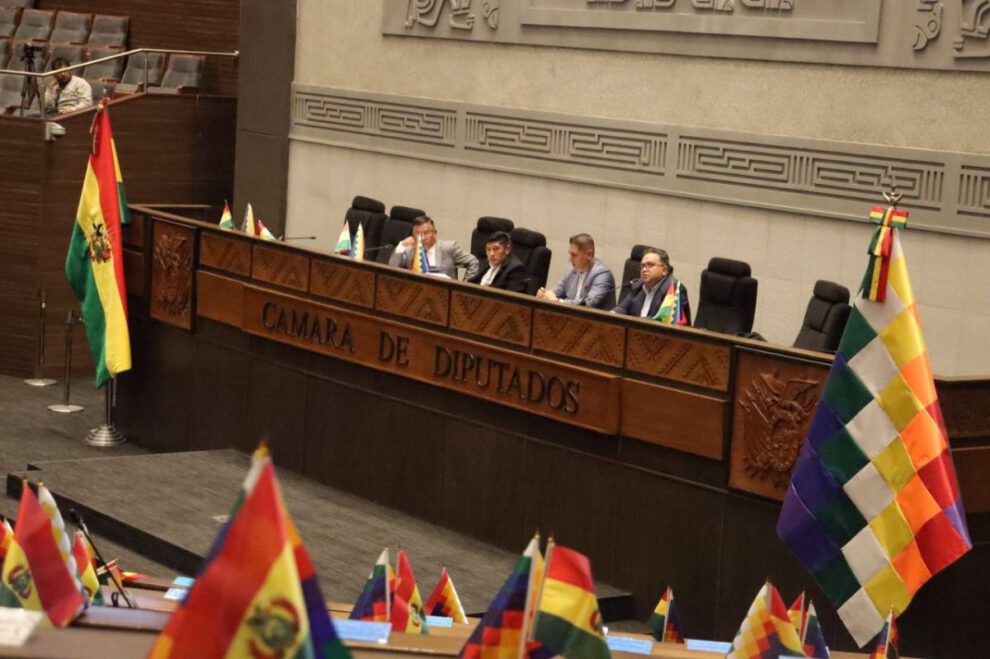 Contrato de litio en la Cámara de Diputados