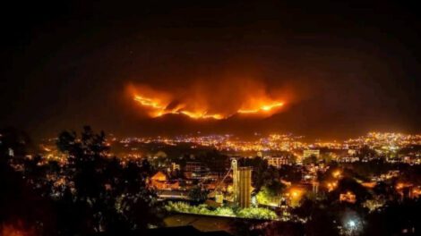 Incendio en Sama afectó más de 8.000 hectáreas