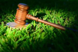 Clínicas Jurídicas Ambientales como herramienta para el cambio social