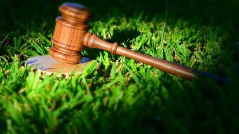 Clínicas Jurídicas Ambientales como herramienta para el cambio social