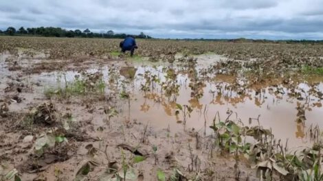 Crisis agrícola en el Beni por incendios e inundaciones