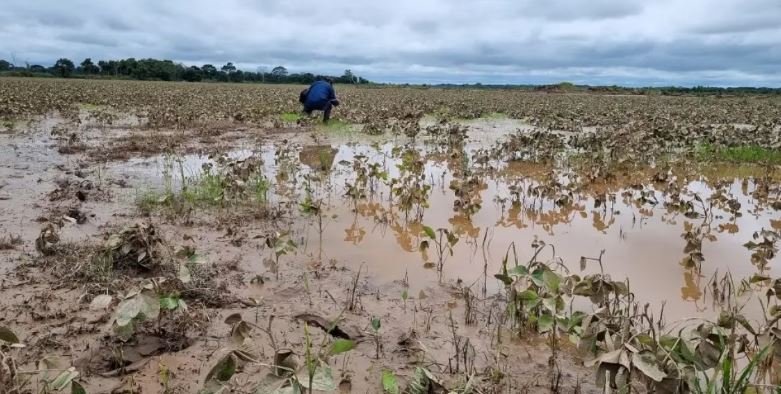 Crisis agrícola en el Beni por incendios e inundaciones