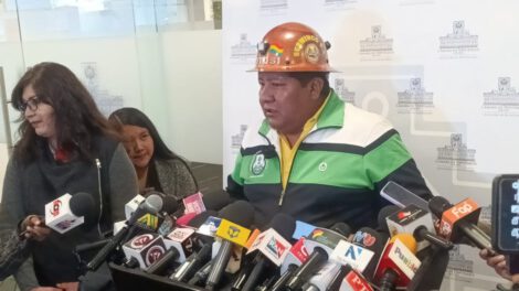 Senador Hilarión Mamani rechaza contratos de litio