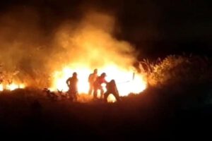 Bomberos en incendios forestales