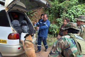 Can antidroga Xhira descubre marihuana oculta entre mandarinas