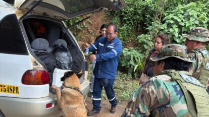 Can antidroga Xhira descubre marihuana oculta entre mandarinas