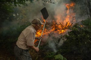 Incendios forestales en España
