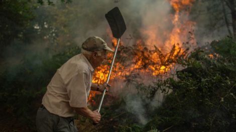 Incendios forestales en España